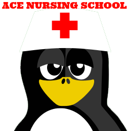 Nurse Penguin Ace